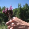 Фото профиля Godofredo