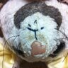 うまなみすと profil fotoğrafı