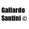 Gallardo Santini profil fotoğrafı