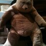 David Larkin's profile picture