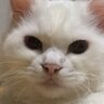 Profilbild von タツユキ