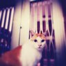 Фото профиля Murphy