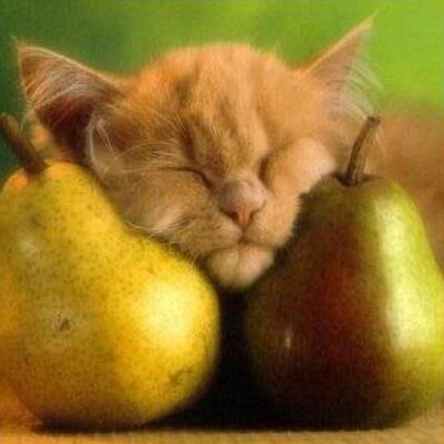 Rolling__Stones's profile picture