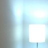 Фото профиля Farol Motael
