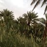 Фото профиля عبيد السبيعي