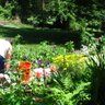 The Gardener's profile picture