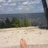 gail amato's profile picture
