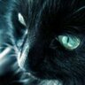 ジュリー's profile picture