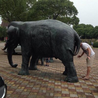 djmcbreen's profile picture