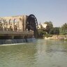 الخل الوفي's profile picture