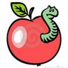 Elmakurdu's profile picture
