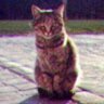 Profilbild von Elemento Aleatorio