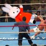wise rabbit's profile picture