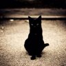 チビネコ's profile picture