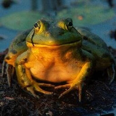 Piotr Leski's profile picture