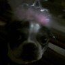 Profilbild von Madeline