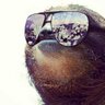 Michael Halvorsen's profile picture