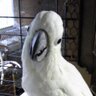 hrk先生's profile picture