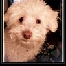 Aggie83 profil fotoğrafı