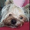 Marina I. Assetta, MRQA's profile picture