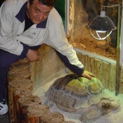 Aleksandar Petrović's profile picture