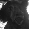 Dave2304's profile picture