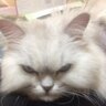 外山　丈's profile picture