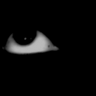 lllllssss's profile picture