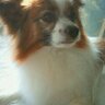 yoko.h profil fotoğrafı