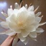 Фото профиля 文香ちん!
