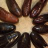 Parkin Sons's profile picture