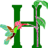 Hummingbird Hill's profile picture