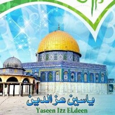 yaseenizeddeen's profile picture