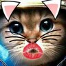 pasabaxaki 🇪🇸🦉's profile picture