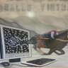 @caballovirtual.com 的头像