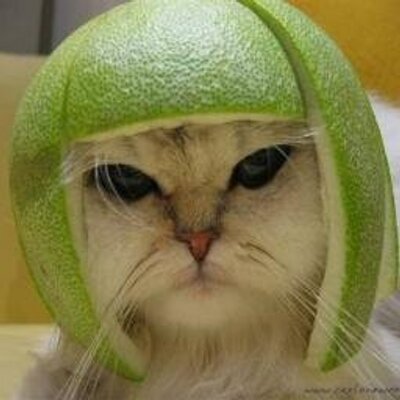 Hadassha's profile picture