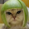 Profilbild von Hadassha