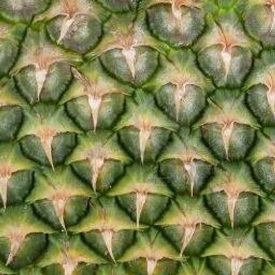 TaaSaparot's profile picture