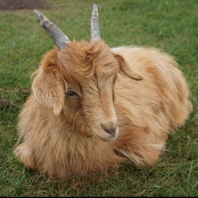 Tierra791's profile picture