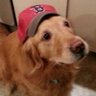 Beantown_Bandit's profile picture