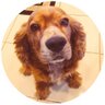 Profilbild von isky