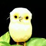 ミィ's profile picture