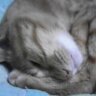 ゆみこ's profile picture