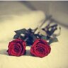 Be with me ..♥'s profile picture