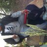 Profilbild von velaphi ngobeni