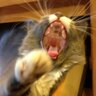 Profilbild von Ben
