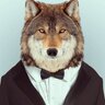 Profilbild von Narls Junior