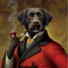 Marko Bundalo's profile picture