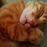 mercandf's profile picture
