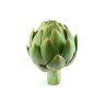 Gastronomic History's profile picture